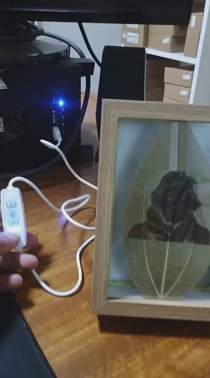 Ver video de Memorialmente